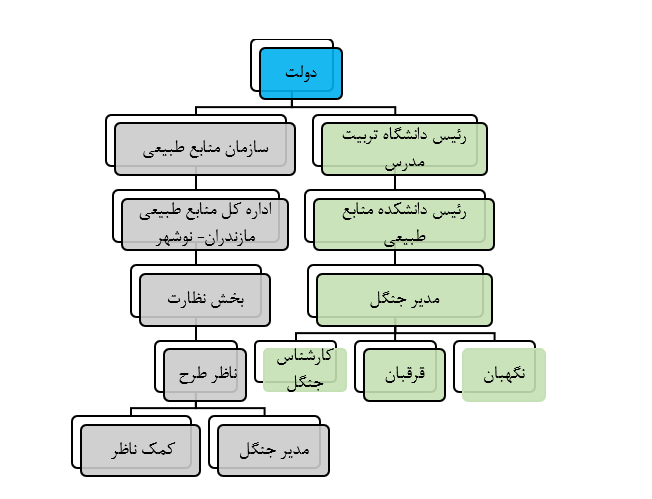 ساختار سازمانی